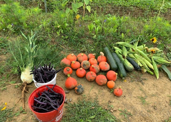 Screenshot_20231015-122616_WhatsApp