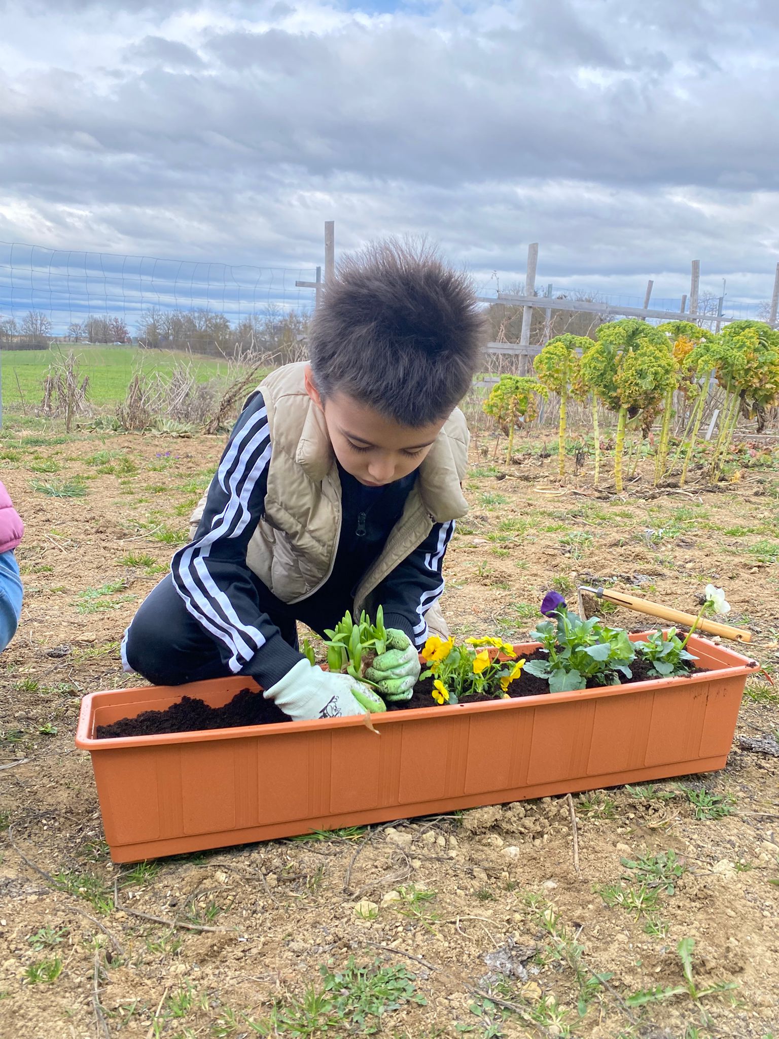 WhatsApp Image 2026-03-14